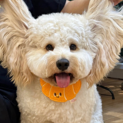 PetAstory Croissant Charm Drool Bandana